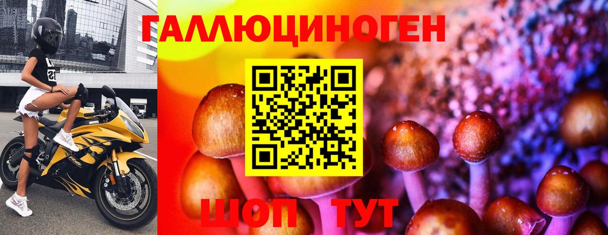Псилоцибиновые грибы прущие грибы Старая Купавна