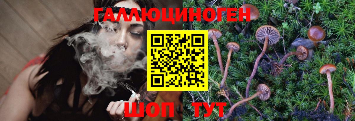Старая Купавна  Псилоцибиновые грибы Psilocybine cubensis  Вход с VPN 